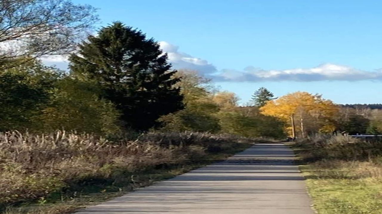 AreaSummer20KM AreaSummer20KM